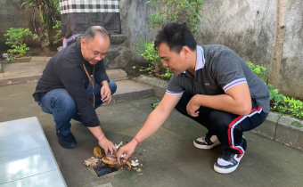 Foto Humas Bawaslu Buleleng